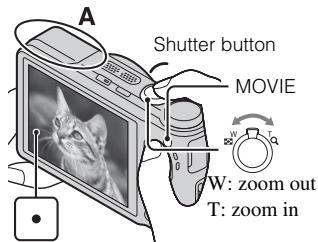 SONY CYBER-SHOT DSC-HX9 - Shooting still images/movies - 2