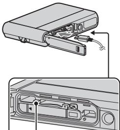 SONY DSC-TX30 - Pentru clienti din S.U.A. si Canada - 2