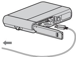 SONY DSC-TX30 - Notas - 1