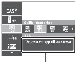 SONY CYBER-SHOT DSC-HX50, DSC HX 50 - Inledning till övriga Funktioner - 2