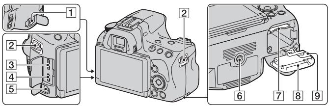 SONY A37, ALPHA SLT-A37 - Sides/Bottom - 1
