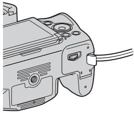 SONY A37, ALPHA SLT-A37 - Stativgewinde - 1
