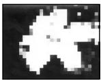 SONY CCD-TR940 - Selecting picture effect - 4