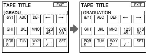 SONY DCR-IP210E - Labelling a cassette - 3