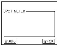 SONY DCR-IP210E - Note - 1