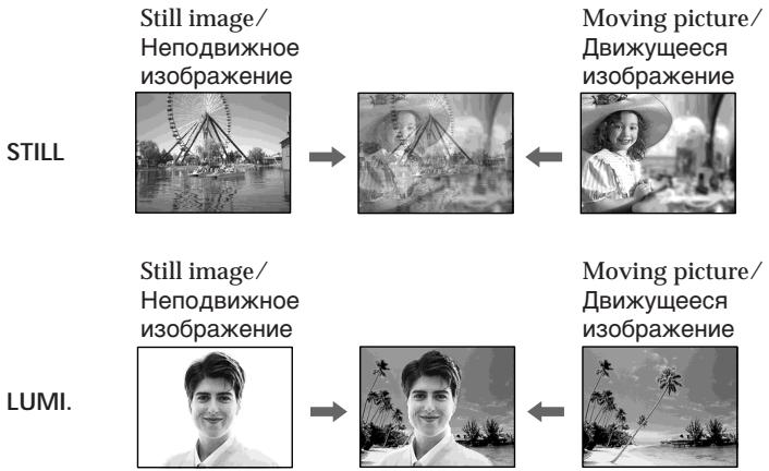 Still image/ Неподвижное изображение moving picture/ Движущееся изображение STILL Still image/ Неподвижное изображение moving picture/ Движущееся изображение LUMI.