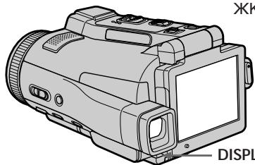 SONY DCR-IP220E - PerynipoBka 3KpaHa XXKd (CALIBRATION) - 1