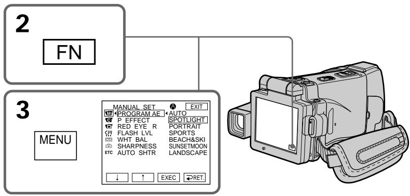 SONY DCR-IP220E - LANDSCAPE - 7