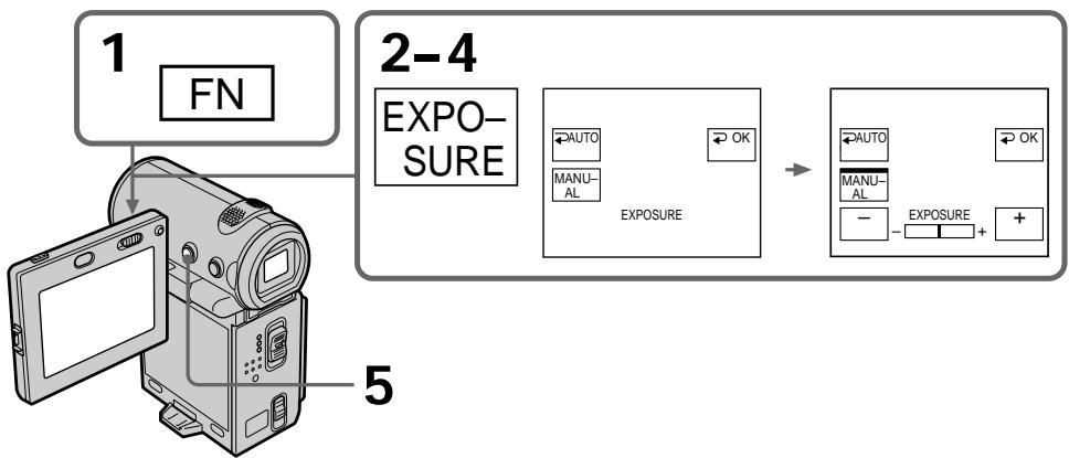 SONY DCR-IP5E - PyuHa peRyInpOBka 3KcNo3n - 1
