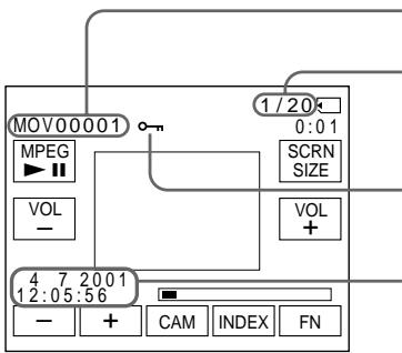 SONY DCR-IP5E - 3KpaHHbIe HNДИKaTOpbl BO BpeMBAocPpOu3BeDeHnA DBNXyUxxCn306paJxHn - 1