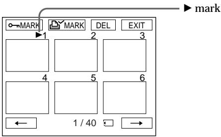 SONY DCR-PC3 - Playing back 6 recorded images at a time (index screen) - 1