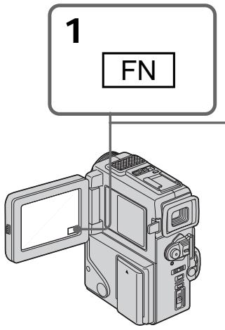 SONY DCR-PC3 - OLD MOVIE - 2