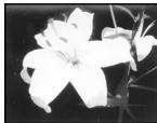 SONY DCR-PC3E - Using special effects - Picture effect - 2