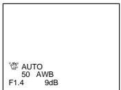 SONY DCR-TR7000E - Not to display recording data - 1