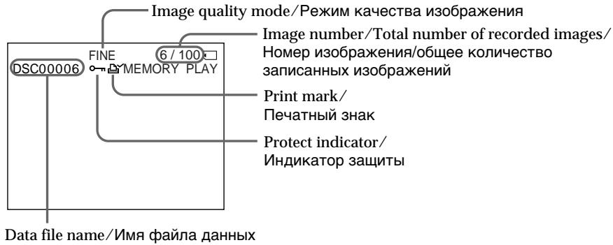 SONY DCR-TRV10E - 3KpaHbIe HnDnKaTOpbl Bo BpeMBOcnpOn3BeDeHnHeNoDnBxhXnO6paXeHn - 1
