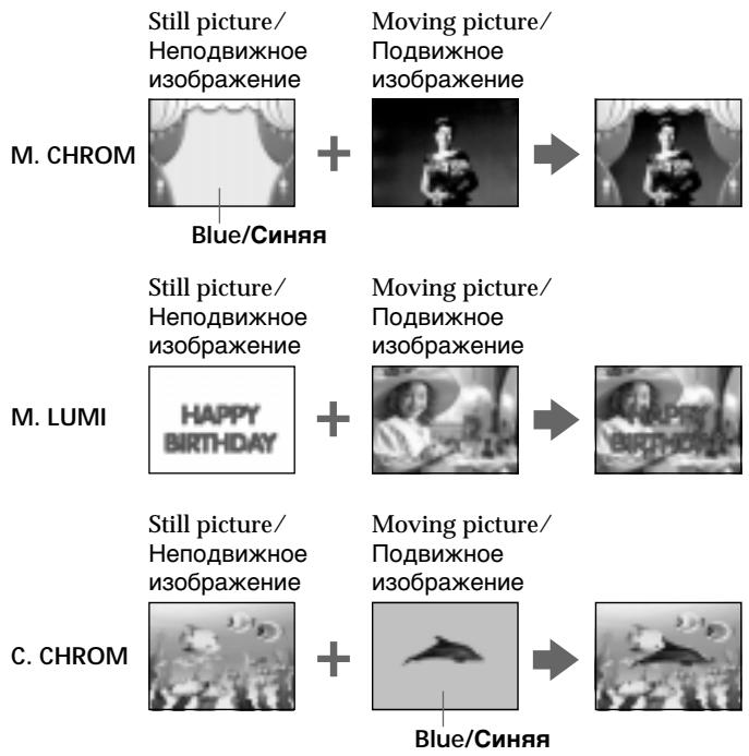SONY DCR-TRV10E - CHROM (KHOIIKA ZBETHOCTN BIVDEOKAMepbl) - 1