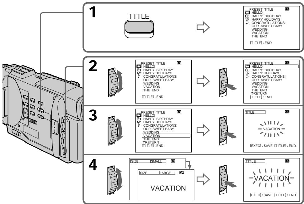 SONY DCR-TRV10E - CM only - 2
