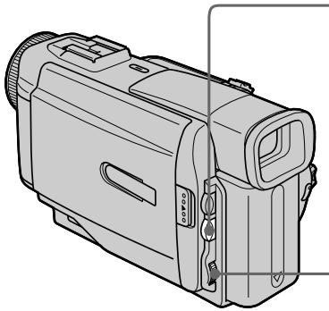 SONY DCR-TRV10E - PerynipoBka 3Kcno3nCnBpyHyU - 1