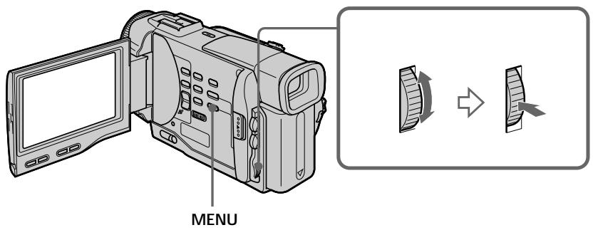 SONY DCR-TRV10E - Using the wide mode - 1