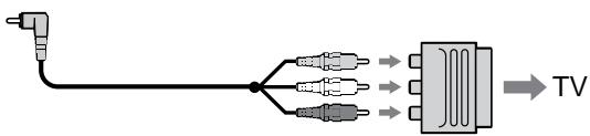 SONY DCR-TRV125E - EcnB Bawaem TeleBn3ope/KBM NmeeTc8 21-7bIpbKOBbl pa3beM (EUROCONNECTOR) - 1