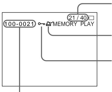 SONY DCR-TRV125E - 3KpaHHbIe HNДИKaTOpbl BO BpeMBAocPpOu3BeDeHnA HeNoDvXhBIXn3o6paJxehn - 1