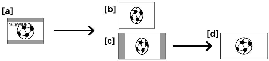 SONY DCR-TRV125E - Using the wide mode - 1
