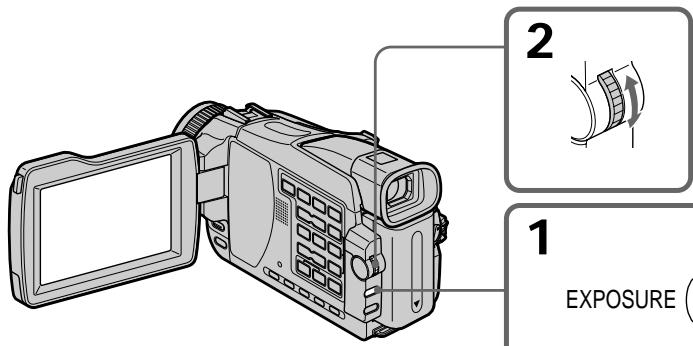 SONY DCR-TRV24E - LANDSCAPE: - 7