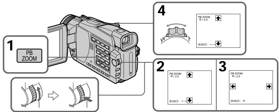 SONY DCR-TRV24E - Покадрава запсь - 3апсь монтжно кадра - 3