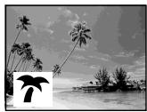 SONY DCR-TRV24E - LANDSCAPE: - 4