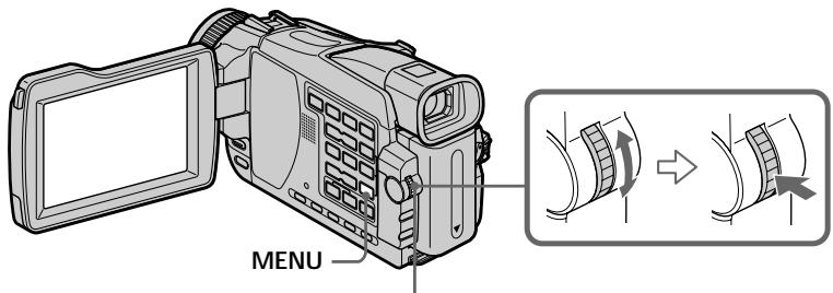 SONY DCR-TRV24E - Ipee3aHcB ToJIbKO HUxHbIX 3nN3oJOB -LuoPBOOMoHTax nporpamMbI (HaJeHTax) - 1