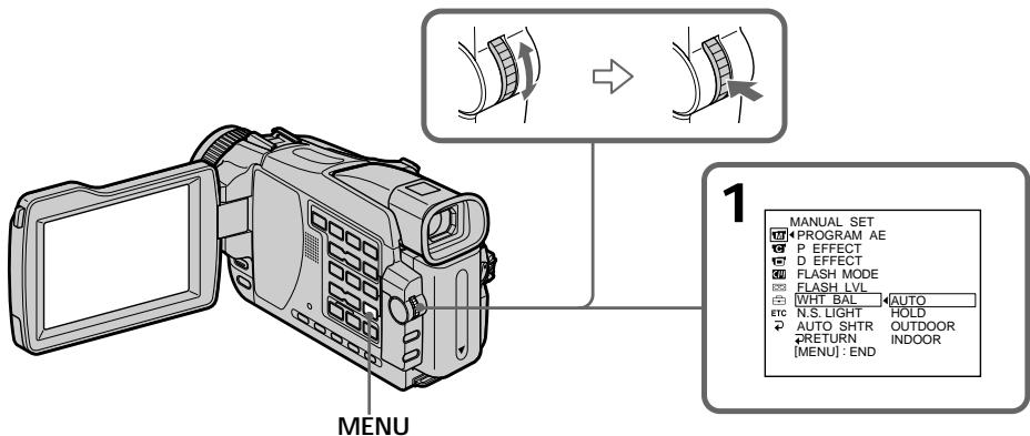 SONY DCR-TRV24E - （INDOOR): - 1