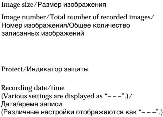 SONY DCR-TRV24E - 3KpaHHbIe INHdNkAToPbI BO BpeMBOcnpOn3BeDeHnY DnXyUeROcN3o6paXeHnY - 2