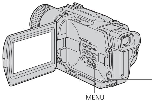 SONY DCR-TRV530E - IcnoJb3OBaHne cpeunabHbIX 3ΦΦeKTOB - ΘΦΦeKT n3o6paXeHnA - 1