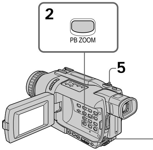 2 PB ZOOM 5