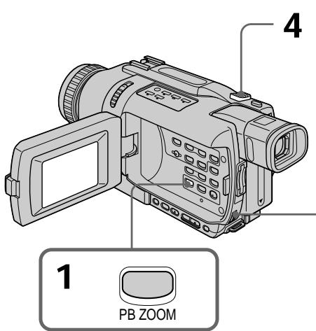 1 PB ZOOM 4