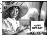 M. LUMI HAPPY BIRTHDAY 100-0021