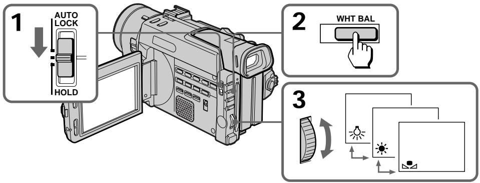 SONY DCR-TRV890E - Регулировка баланса белого - 1