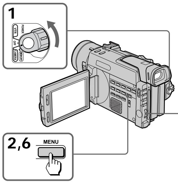 SONY DCR-TRV890E - Съемка с зебротаблицей - 1
