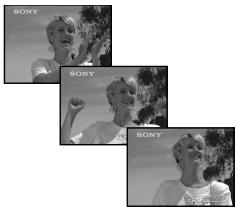 SONY DCR-TRV890E - Recording images continuously - 1