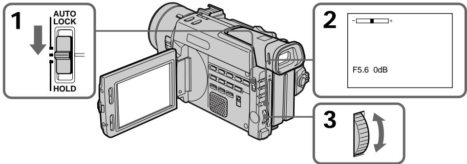 SONY DCR-TRV890E - [b] - 1
