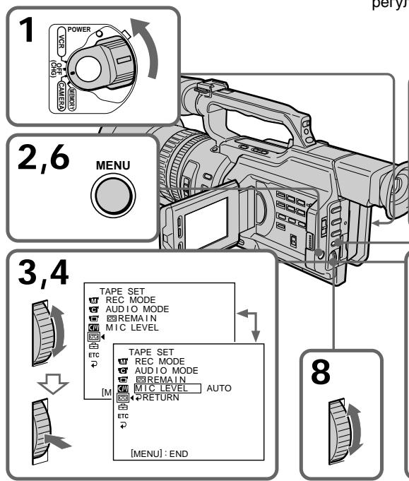 SONY DCR-VX2000E - PerylnpobKa ypOBn3aHncn - 1