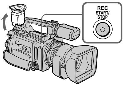 SONY DCR-VX2000E - 3aHnCb n3 Hn3KOro NOLOXeHnA - 1