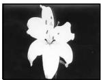 SONY DCR-VX2000E - Using special effects - Picture effect - 3