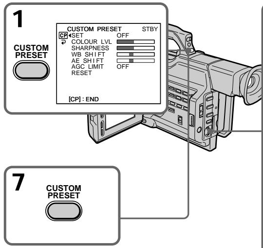 SONY DCR-VX2000E - Предварптьная Habстpoиka КачесТВИЗБРАЖЕНЯ - Индандальна habстpoиka - 1