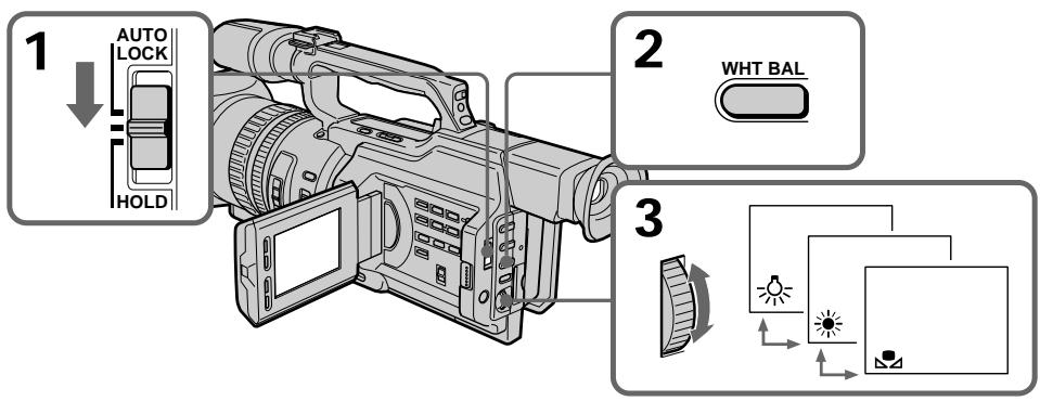 SONY DCR-VX2000E - PeruInpoBka 6aHaHca 6eIoro cBeTa - 1