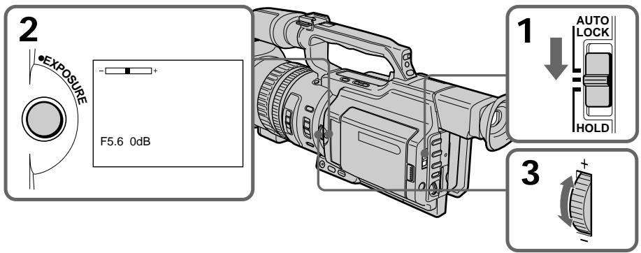 SONY DCR-VX2000E - CbeMka c nCNoJIb3OBAHnEm pyHOn peRyIInpOBKn - 1