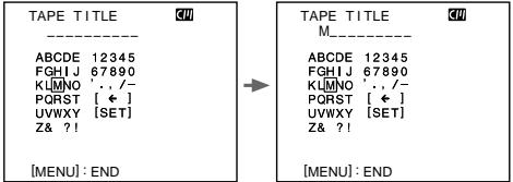 SONY DCR-VX2000E - Длвьда npobena - 10
