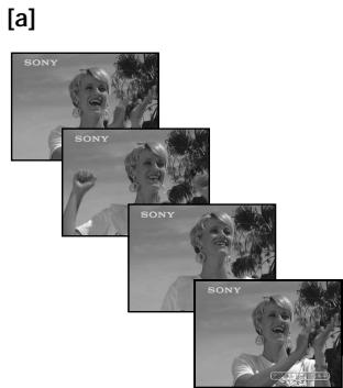 SONY DCR-VX2000E - Multi screen mode [b] - 1