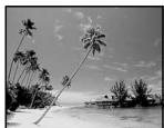 SONY DCR-VX2000E - OLD MOVIE - 10