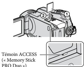 Témoin ACCESS « Memory Stick PRO Duo »)